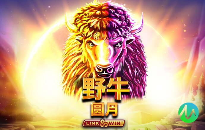 db体育app下载官网